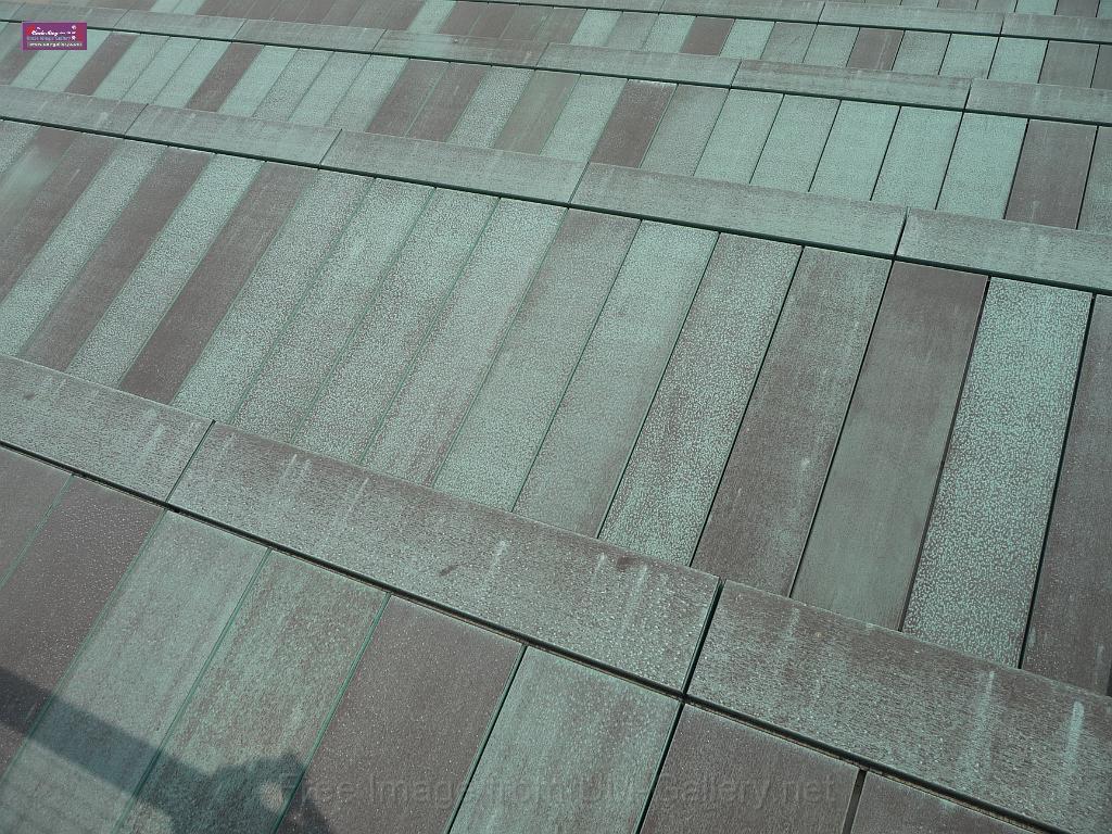 20111120wetland-park-P1080875.JPG