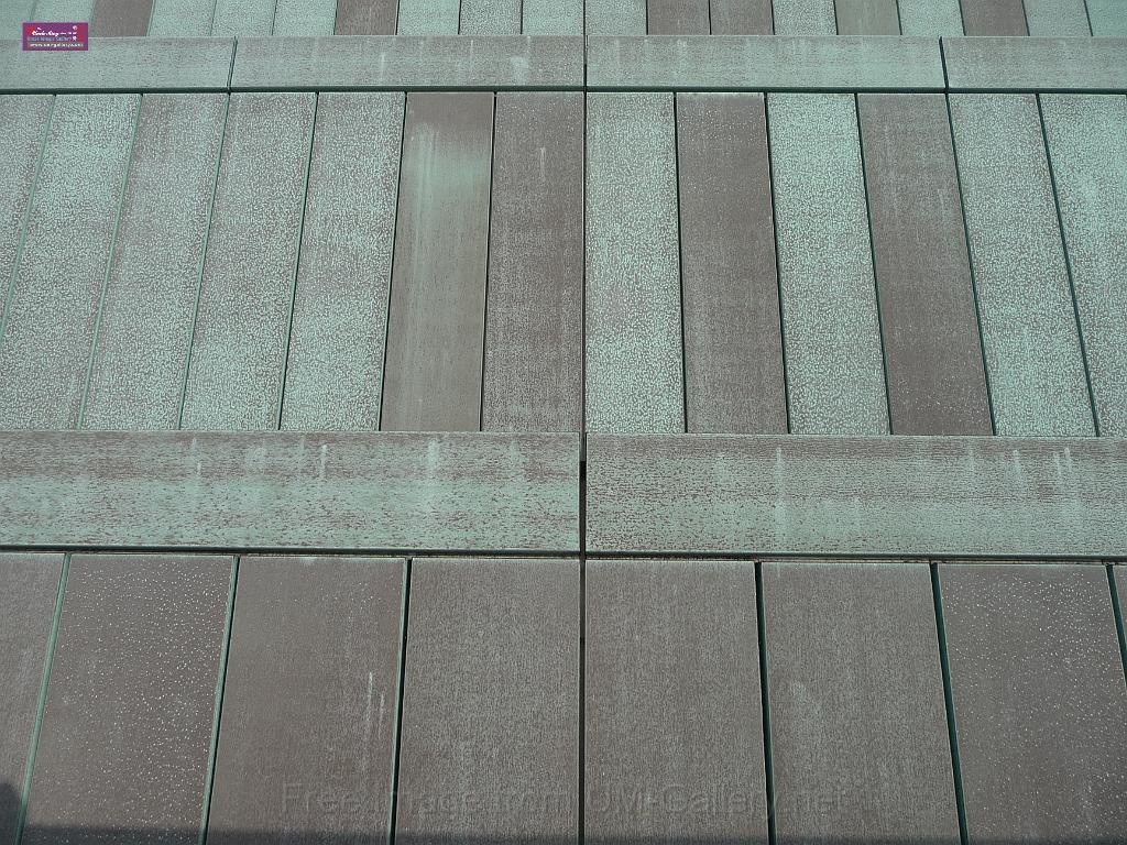 20111120wetland-park-P1080877.JPG