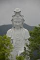 20150524jw_tszshan_monastery_DSC_7911