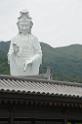 20150524jw_tszshan_monastery_DSC_8052