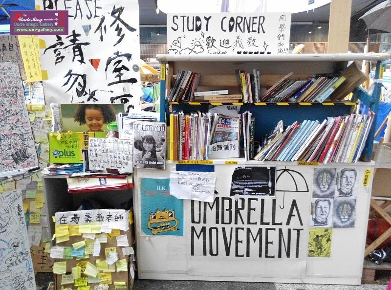 sm-occupyadmiralty-IMG_20141207_165141.jpg