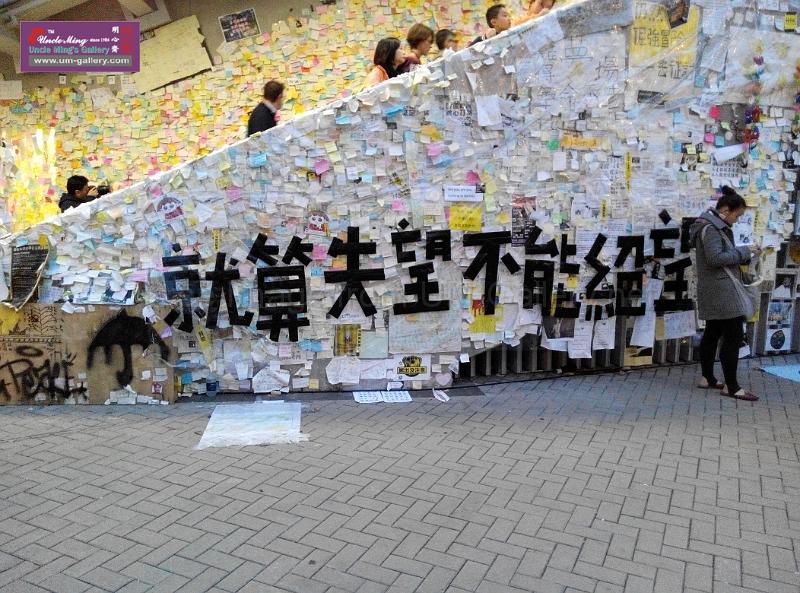 sm-occupyadmiralty-IMG_20141207_174553.jpg