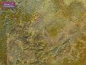 090301sm_academy_p_art_P1030317