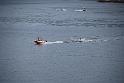 20110606taipo_DSC_0024